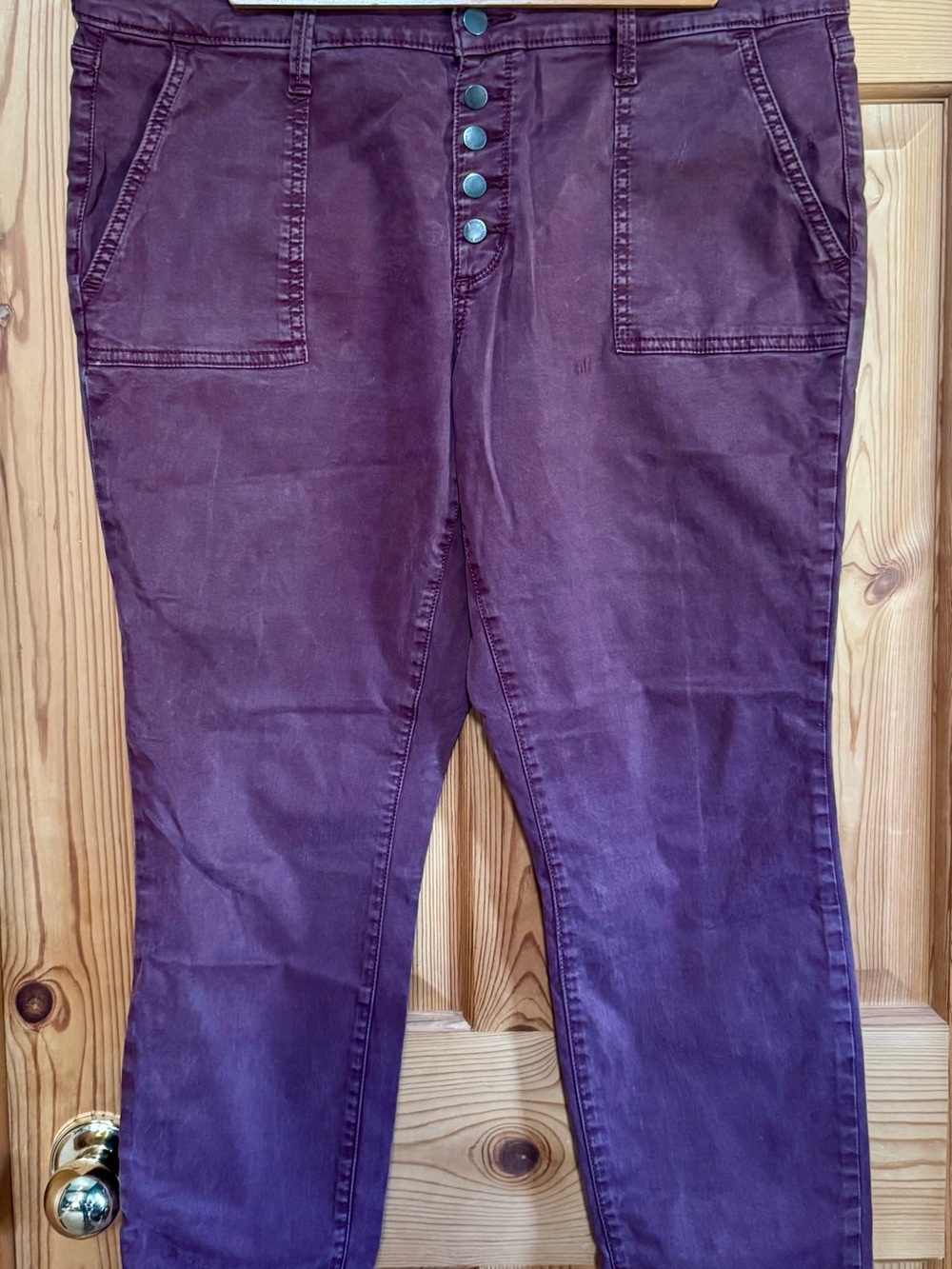 Universal Thread Plum Mid-Rise Skinny Pants with Button Fly